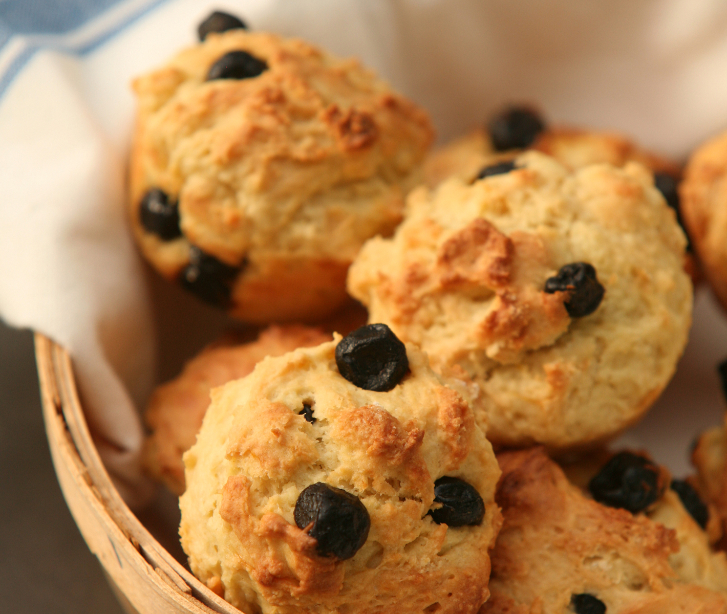 Sourdough Muffin Recipe with Dried Blueberries Grit